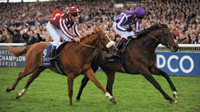 Betting on Horse Race