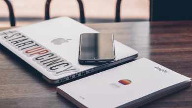 What Raise Rankings SEO Link