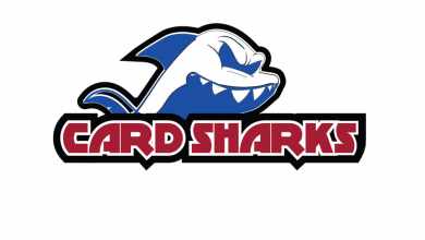 best system for a novice card shark