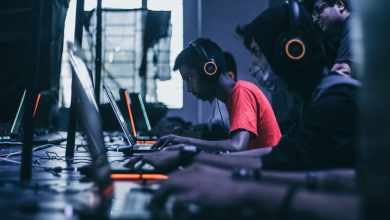 Online Gaming Options