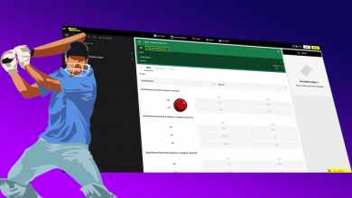 Cricket Betting in India