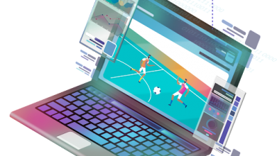 Sportsbook Software Provider