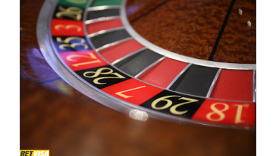 BetVisa Review in Bangladesh